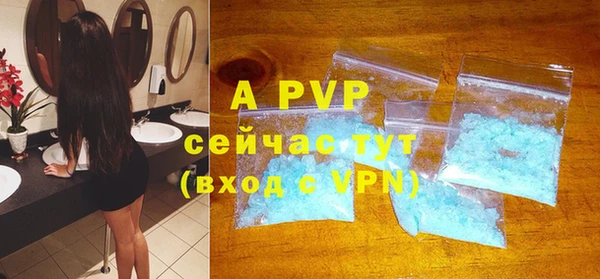 apvp Коряжма